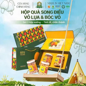 Hộp Quà Song Điều Bà Tư Bình Phước 450g – Quà Tết Hạt Điều Cao Cấp Ý Nghĩa Nhất 2026